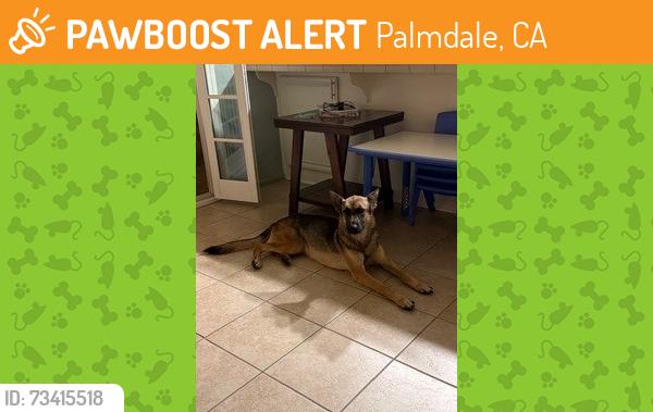 Found/Stray Female Dog last seen Ritter Ranch and Elizabeth Lake Rd., Palmdale, CA 93551