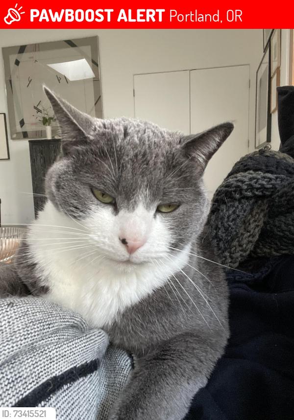 Lost Male Cat last seen Near NW Saltzman Rd, Portland, OR 97210