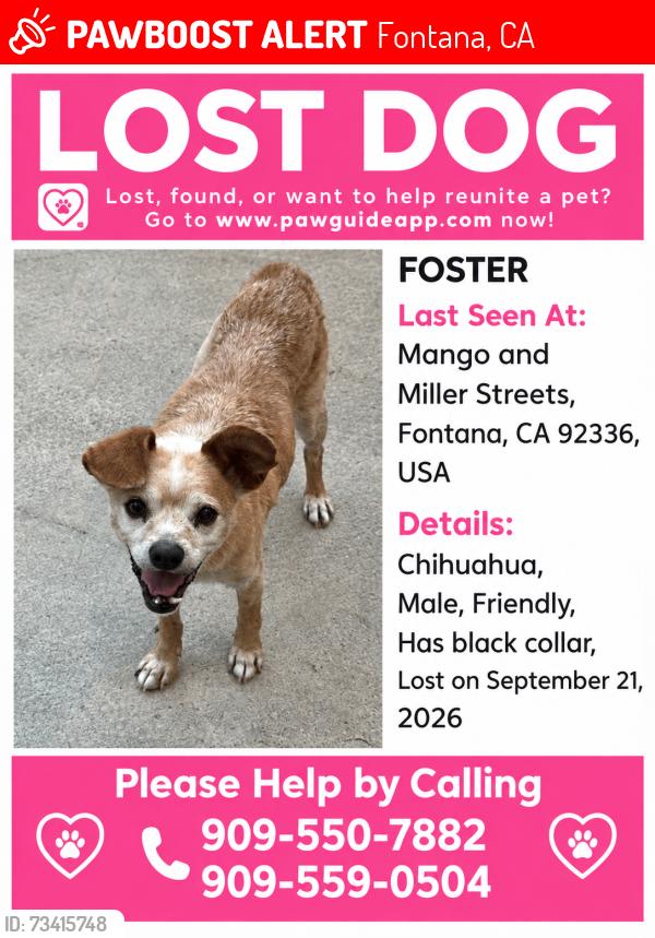 Lost Male Dog last seen Mango and Miller, Fontana CA, Fontana, CA 92336