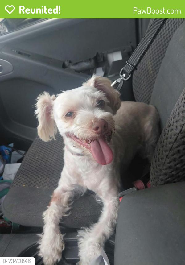 Reunited Male Dog last seen Sam Snead, Virginia Beach, VA 23462