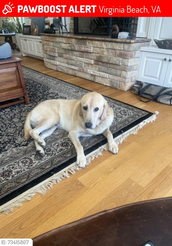 Lost Male Dog last seen Greenwell rd. and Greenwell ct., Virginia Beach, VA 23455