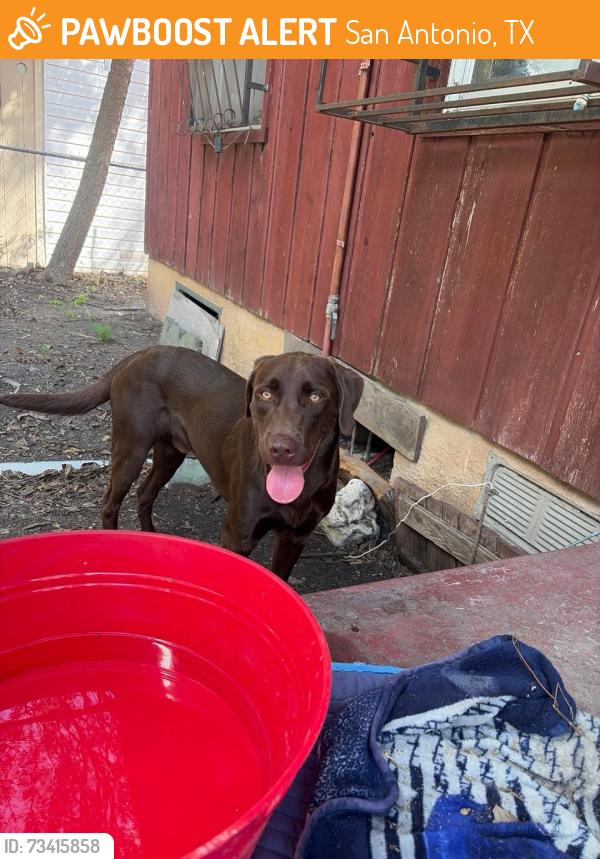 Found/Stray Male Dog last seen Rainbow hills neighborhood, San Antonio, TX 78227