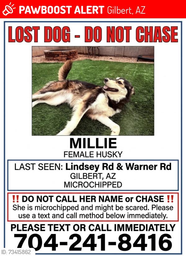 Lost Female Dog last seen Lindsey and Warner, Gilbert, AZ 85296