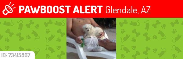 Lost Female Dog last seen Near ave Rosewood Dr., Glendale, AZ 85304