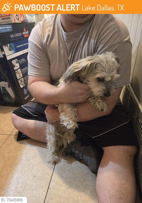 Found/Stray Unknown Dog last seen Kings manor in lake dallas, Lake Dallas, TX 75065