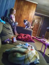 Lost Female Cat last seen Flatwoods, Sullivan County, TN 37618