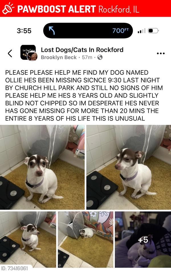 Lost Male Dog last seen Churchill Park, Rockford, IL 61104