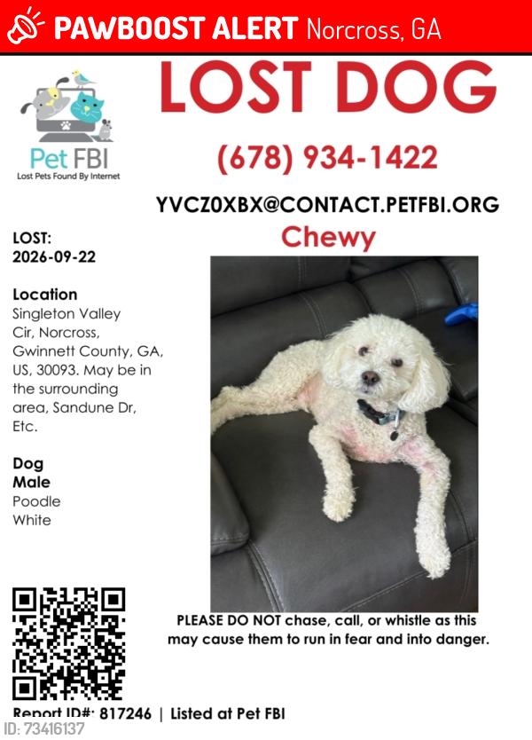 Lost Male Dog last seen Singleton road, Norcross, GA 30093