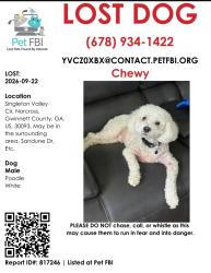 Lost Male Dog last seen Singleton road, Norcross, GA 30093