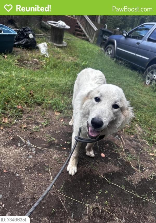 Reunited Female Dog last seen Fauquier County Border, Fredericksburg, VA 22406