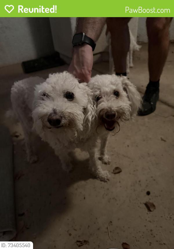 Reunited Unknown Dog last seen Elliot and Dobson, Chandler, AZ 85224