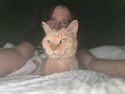 Lost Female Cat last seen Gala and Orchard Glen, Etna, OH 43062