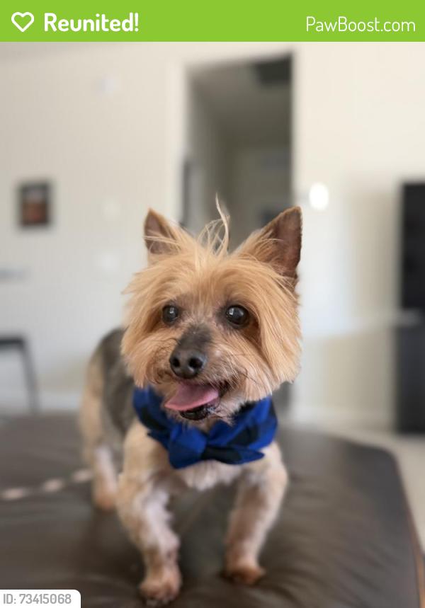 Reunited Male Dog last seen W Jefferson St, between W Wilson St and N 187th dr, Buckeye, AZ 85326