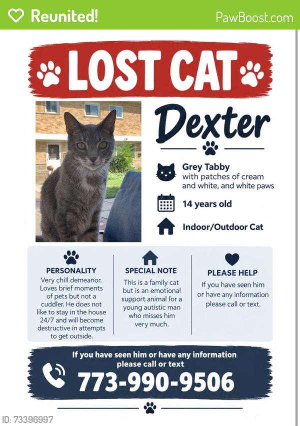 Reunited Male Cat last seen 80th Street, Kenosha, WI 53142