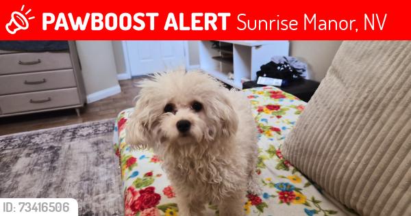 Lost Female Dog last seen Nalis and Owens., Sunrise Manor, NV 89110