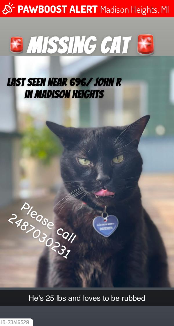 Lost Male Cat last seen John r and 10 mile, Madison Heights, MI 48071