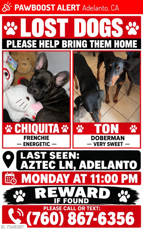 Lost Male Dog last seen Aztec Ln and hermosa rd, Adelanto, CA 92301
