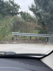Found/Stray Unknown Dog last seen Very end of Shwartz road between 469-back of O Reilly auto parts, Fort Wayne, IN 46835