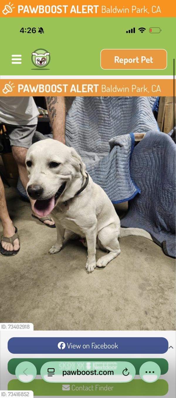 Found/Stray Male Dog last seen Barnes park, Baldwin Park, CA 91706