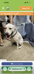 Found/Stray Male Dog last seen Barnes park, Baldwin Park, CA 91706