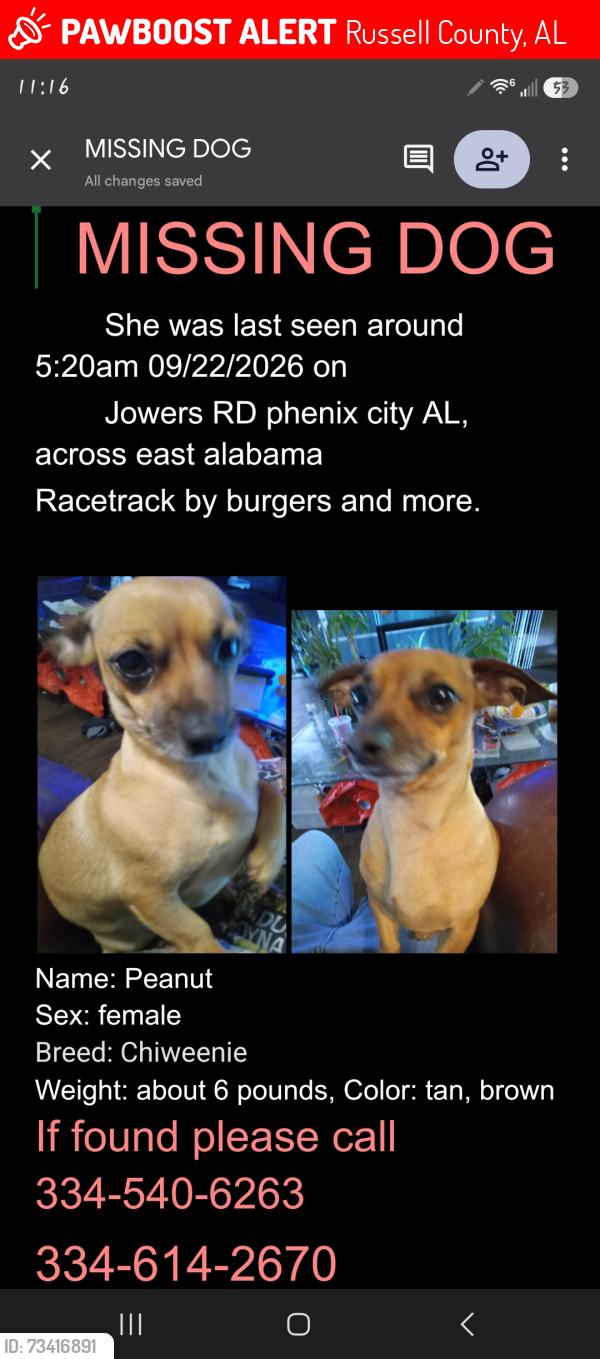 Lost Female Dog last seen Homes, Russell County, AL 36869