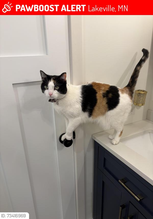 Lost Female Cat last seen Lakeville South, Lakeville, MN 55044
