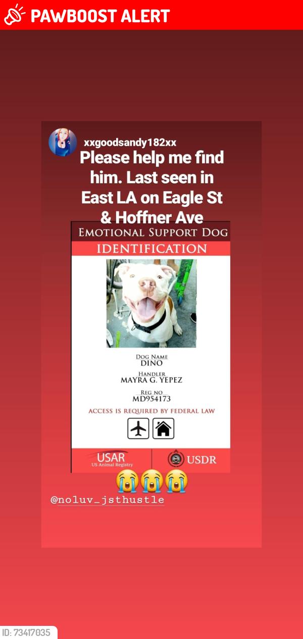 Lost Male Dog last seen Eagles street and hoffner, East Los Angeles, CA 90022