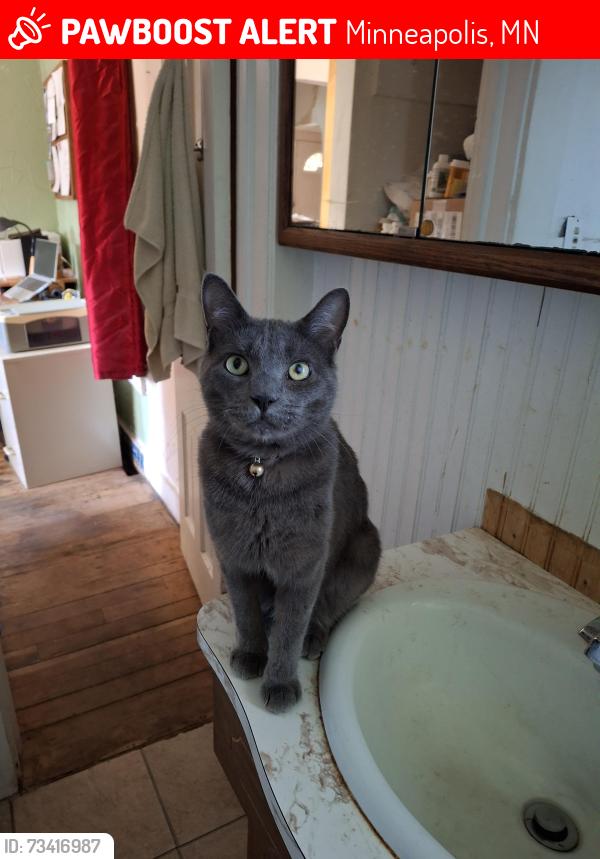 Lost Male Cat last seen North of the Greenway, near the Global Market, Minneapolis, MN 55407