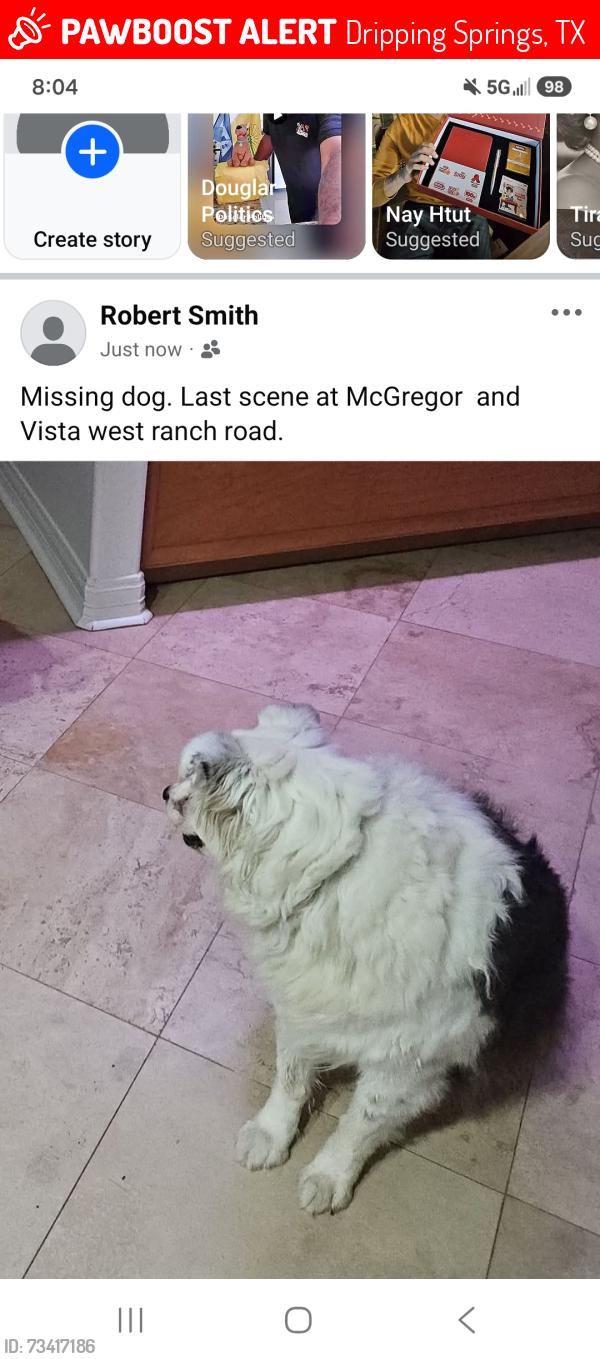 Lost Female Dog last seen McGregor, Dripping Springs, TX 78620