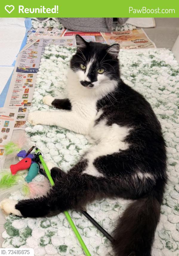Reunited Male Cat last seen Water Tank, Franklin Township, NJ 08823