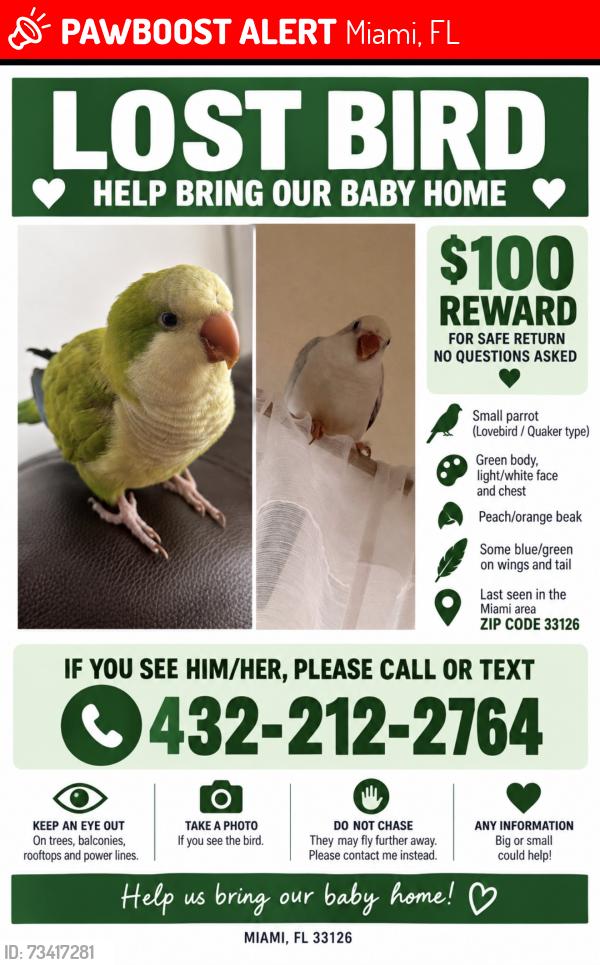Lost Unknown Bird last seen Ocean bank, Miami airport, Blue Lagoon, Miami, FL 33126