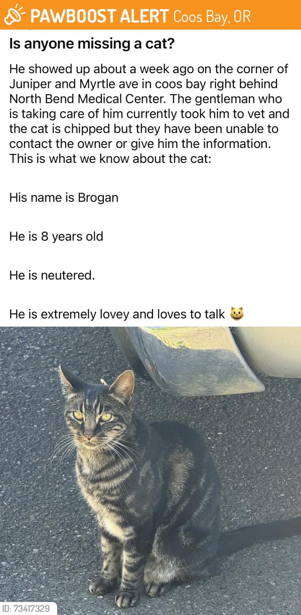 Found/Stray Male Cat last seen Myrtle Ave, Coos Bay, OR 97420