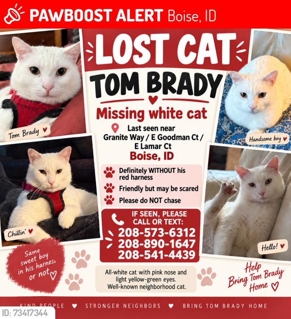 Lost Male Cat last seen Warm Springs, Boise, ID 83712