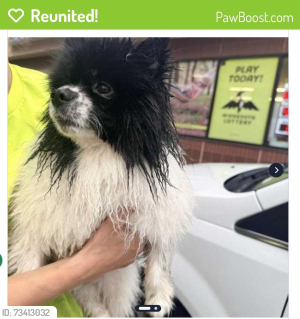 Reunited Male Dog last seen Woodhill Drive and Lexington Ave, Roseville. MN 55113, Roseville, MN 55113