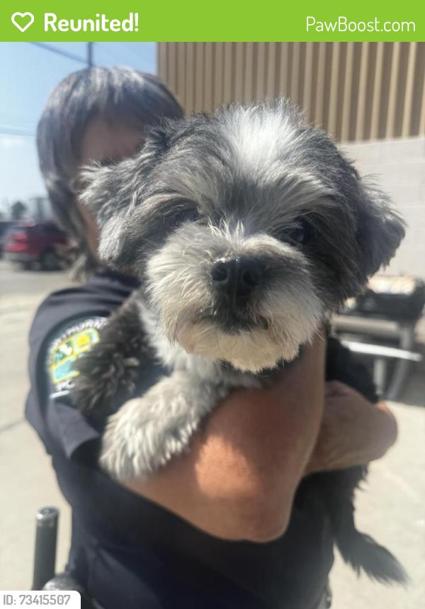 Reunited Male Dog last seen Near block and Gale Ave, Hawthorne, CA 90250
