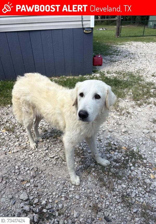 Lost Male Dog last seen Arnold Acres, Cleveland, TX 77327