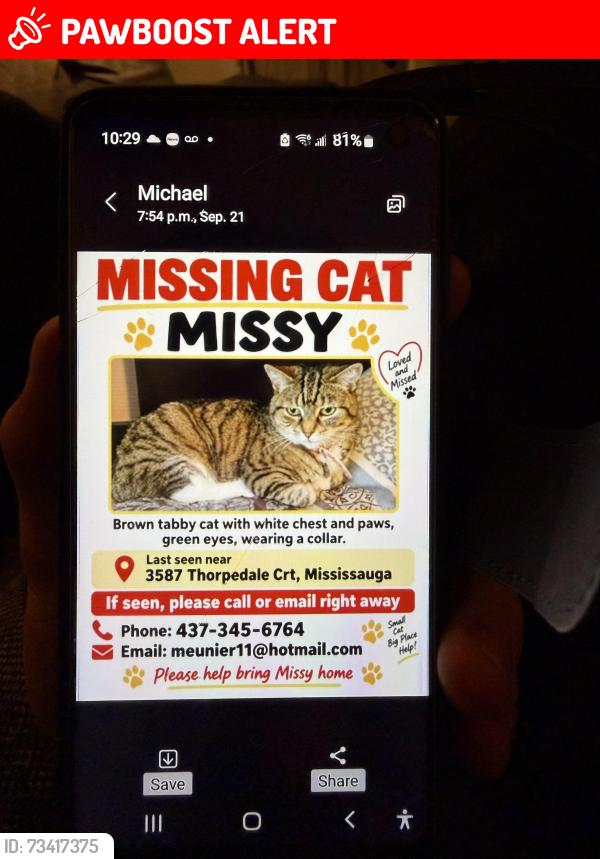 Lost Female Cat last seen St marks school, Mississauga, ON L5L 3V6