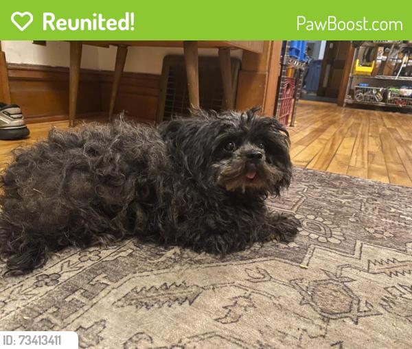 Reunited Female Dog last seen Lexington and Minnehaha, Saint Paul, MN 55104