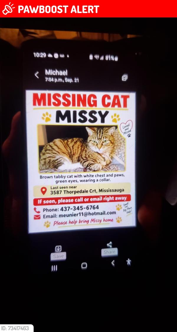 Lost Female Cat last seen Thourpdale court and Govenorplace, Mississauga, ON L5L 3V6