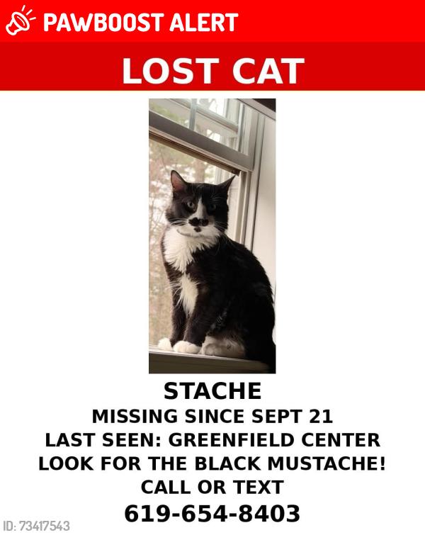 Lost Male Cat last seen Greenfield center, Greenfield Center, NY 12833