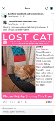 Lost Male Cat last seen Kerrs road, Coes Creek, QLD 4560