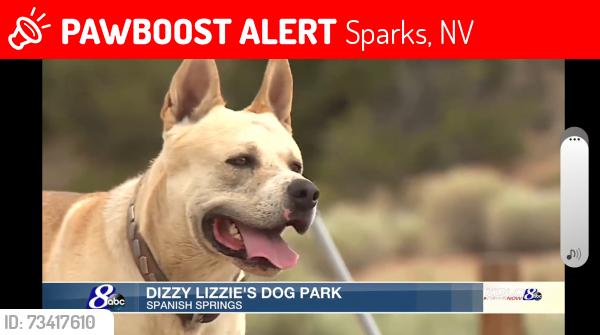 Lost Male Dog last seen Calle de la plata, Sparks, NV 89441
