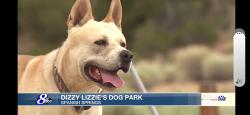 Lost Male Dog last seen Calle de la plata, Sparks, NV 89441