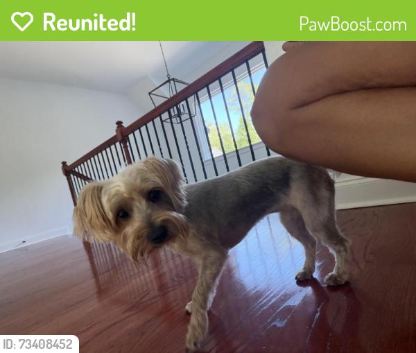 Reunited Female Dog last seen Double Birch, Douglasville, GA 30135