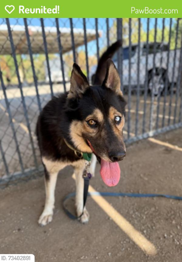 Reunited Female Dog last seen kansas ave & seventh st, Riverside, CA 92507