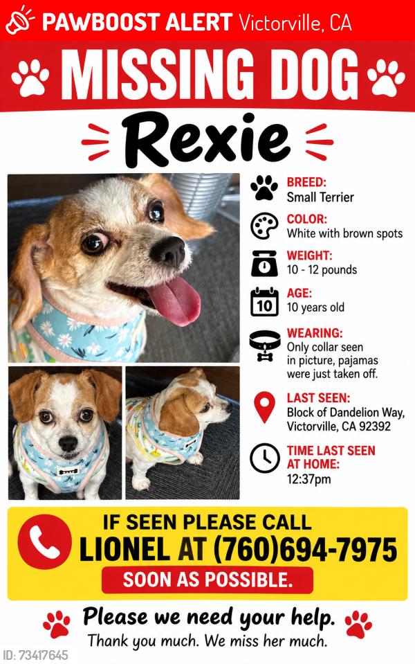 Lost Female Dog last seen Dandelion Way and La Mesa in Victorville, Victorville, CA 92392