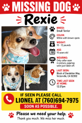 Lost Female Dog last seen Dandelion Way and La Mesa in Victorville, Victorville, CA 92392