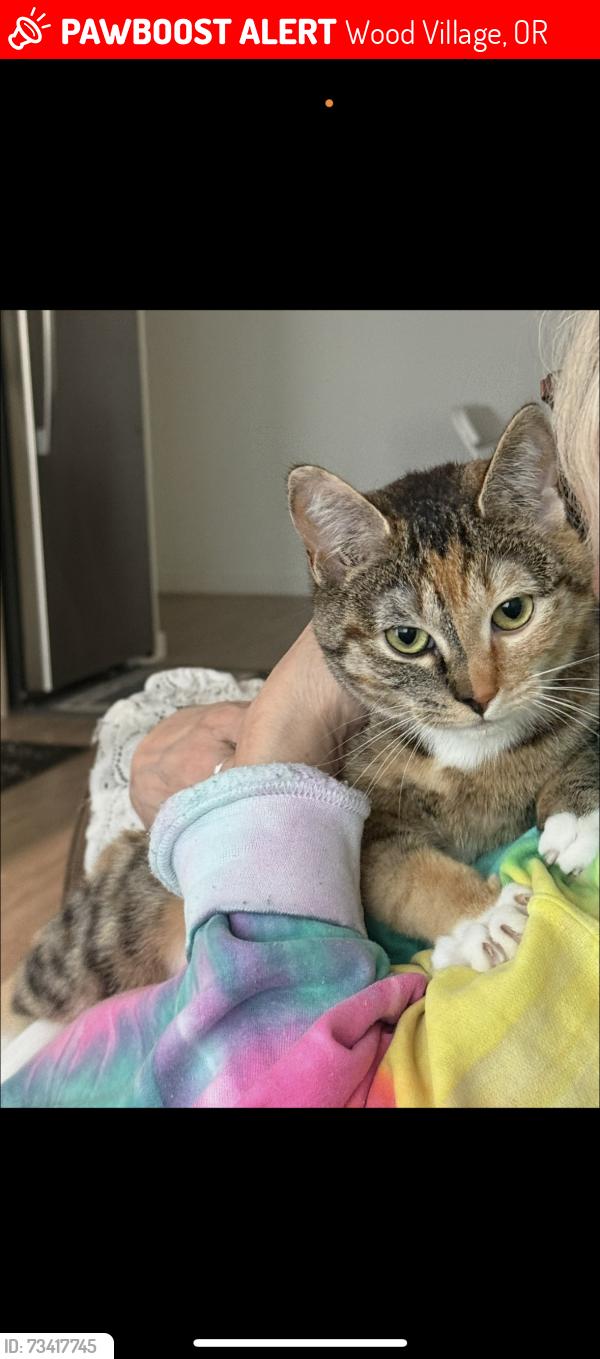 Lost Female Cat last seen Byway apmts, Wood Village, OR 97060