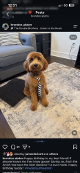 Lost Male Dog last seen broad ave, Ewing Township, NJ 08618