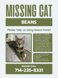 Lost Male Cat last seen 17th and Mabury, Santa Ana, CA 92705